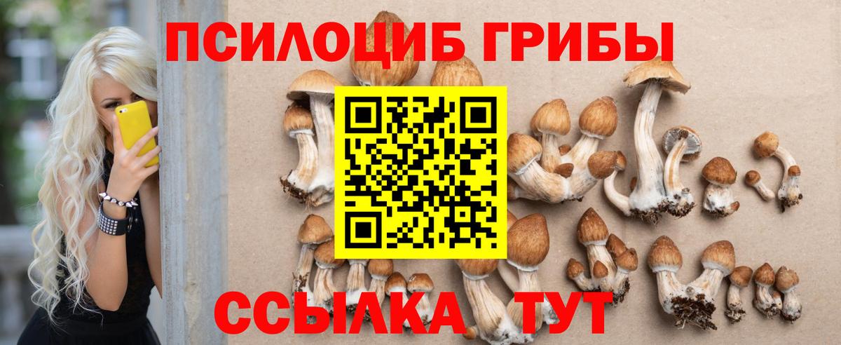 магазин продажи   Псилоцибиновые грибы мухоморы  Вход с VPN  Королёв 